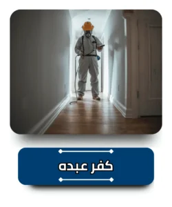 شركة مكافحة حشرات في كفر عبده