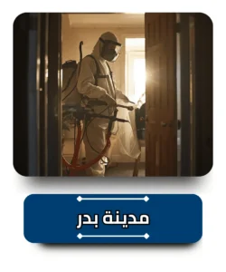 شركة مكافحة حشرات في مدينة بدر