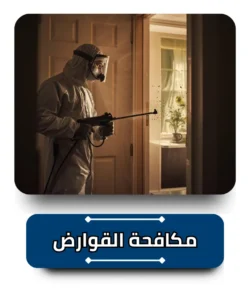 مكافحة القوارض